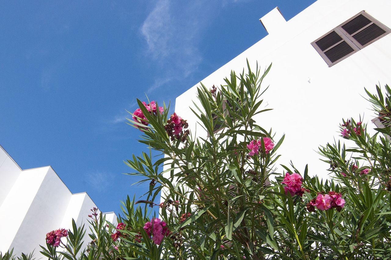 Apartamentos Pou Des Pujols Luaran gambar